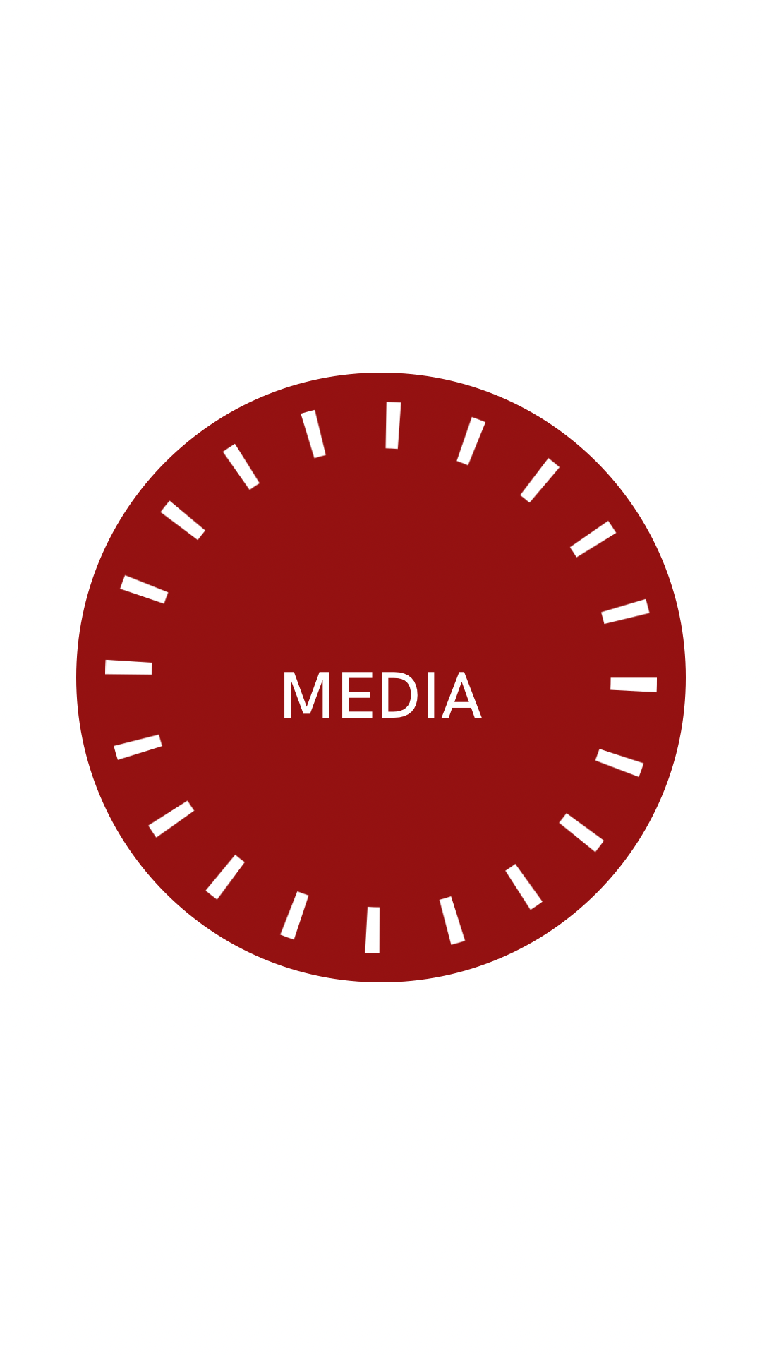 MEDIA BUTTON
